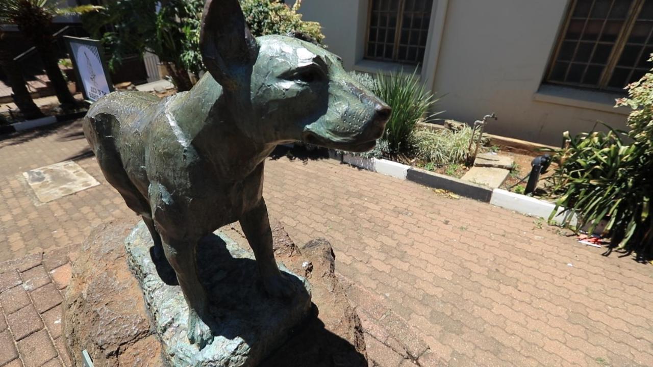 African Rest Lodge Barberton Eksteriør bilde